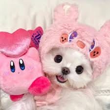 Tono Sudirman avatar