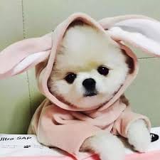 Hendra Gunawan avatar